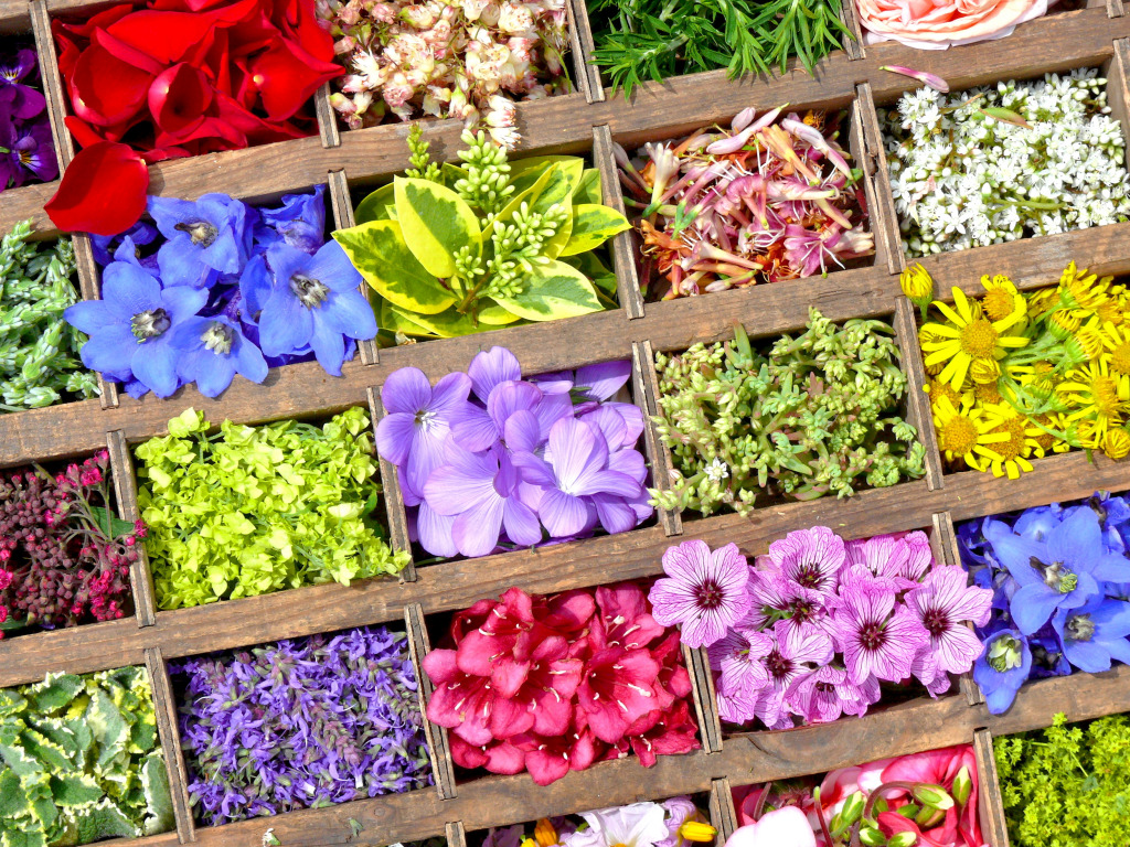 Bright Flowers jigsaw puzzle in Puzzle of the Day puzzles on TheJigsawPuzzles.com