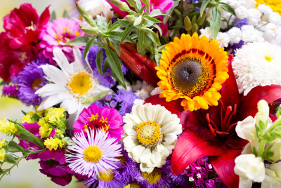 Bouquet Of Summer Flowers Jigsaw Puzzle In Flowers Puzzles On 