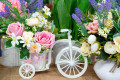 Flowers and White Bike