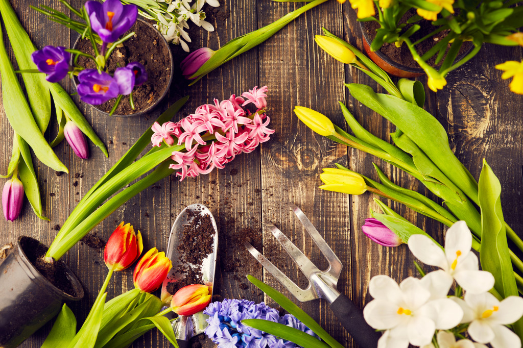 Flowers and Gardening Tools jigsaw puzzle in Flowers puzzles on TheJigsawPuzzles.com