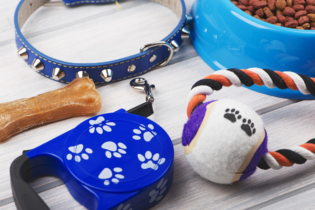 Leash, Toy, Bone and Dog Food jigsaw puzzle in Macro puzzles on TheJigsawPuzzles.com