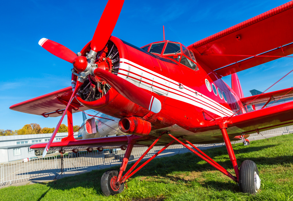Red Biplane on a Sunny Day jigsaw puzzle in Aviation puzzles on TheJigsawPuzzles.com