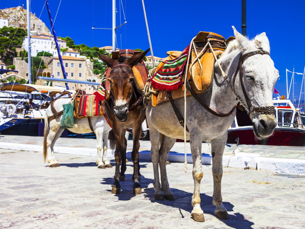 Hydra Island, Greece jigsaw puzzle in Puzzle of the Day puzzles on TheJigsawPuzzles.com