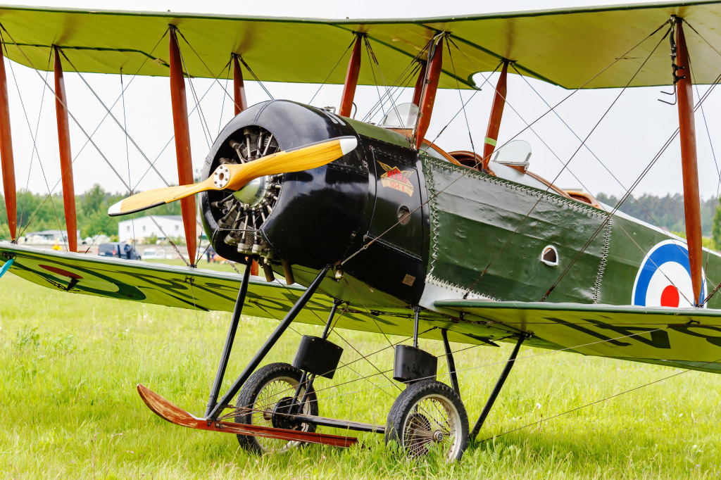 Restored WWI Aircraft jigsaw puzzle in Aviation puzzles on TheJigsawPuzzles.com