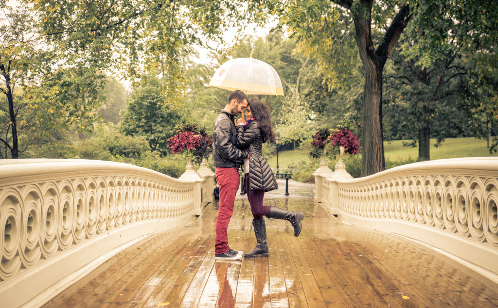 Lovely Couple in Central Park, New York City jigsaw puzzle in Valentine's Day puzzles on TheJigsawPuzzles.com