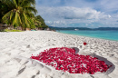 Caribbean Honeymoon