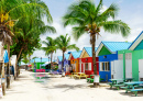 Caribbean Island of Barbados
