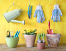 Spring Flowers and Gardening Tools
