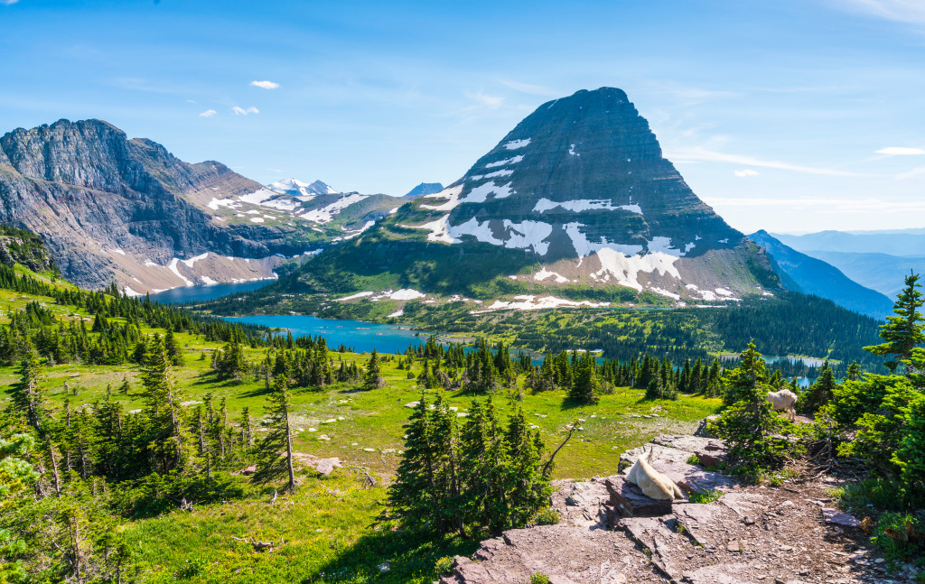 Logan Pass Trail, Glacier National Park jigsaw puzzle in Great Sightings puzzles on TheJigsawPuzzles.com