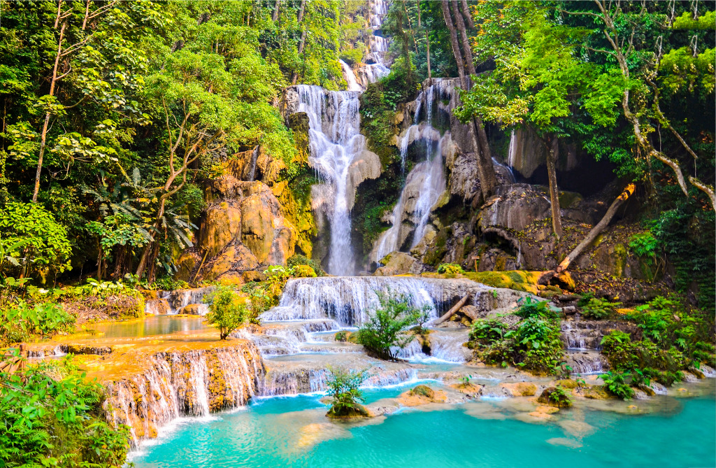 Forest Waterfall Pool jigsaw puzzle in Waterfalls puzzles on TheJigsawPuzzles.com