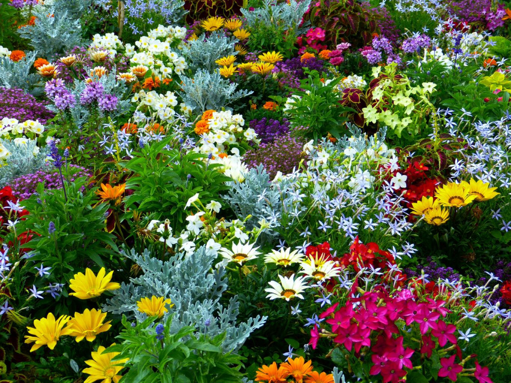 flower_garden jigsaw puzzle in Lynda Baran puzzles on TheJigsawPuzzles.com