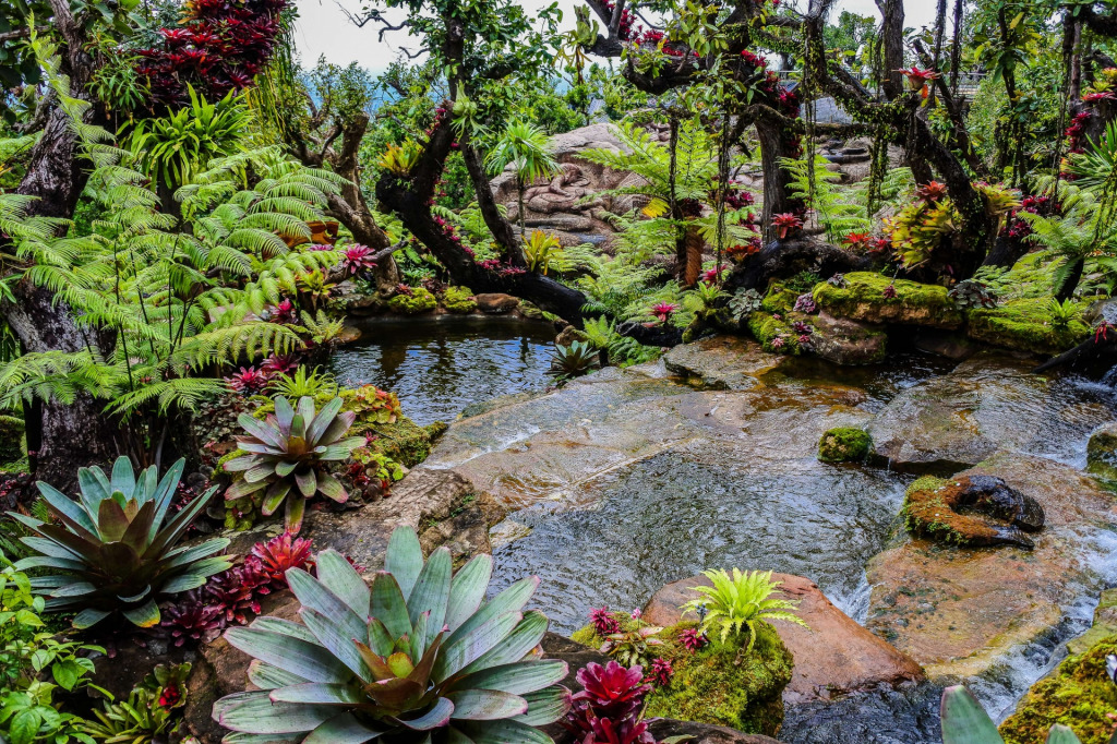 a-landscape-garden-forest-style jigsaw puzzle in Lynda Baran puzzles on TheJigsawPuzzles.com