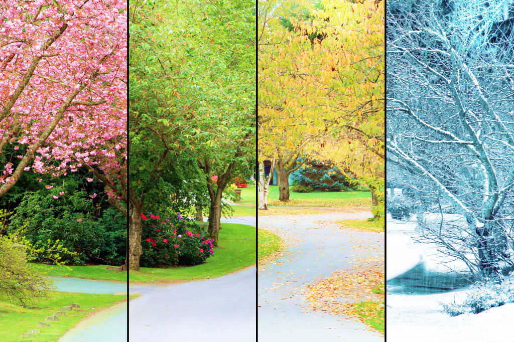 Four Seasons jigsaw puzzle in Puzzle of the Day puzzles on TheJigsawPuzzles.com