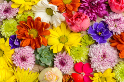 Colorful Flowers jigsaw puzzle in Puzzle of the Day puzzles on ...