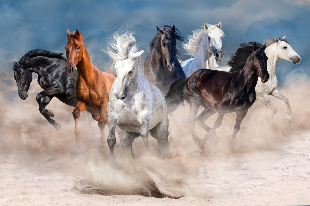 Wild Horses jigsaw puzzle in Puzzle of the Day puzzles on TheJigsawPuzzles.com