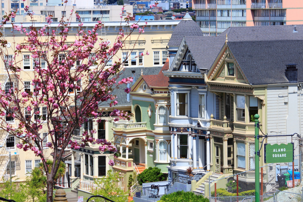 Painted Ladies, San Francisco, Kalifornien jigsaw puzzle in Straßenansicht puzzles on TheJigsawPuzzles.com