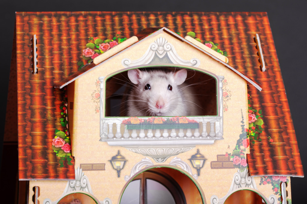 Maus in einem Puppenhaus jigsaw puzzle in Makro puzzles on TheJigsawPuzzles.com
