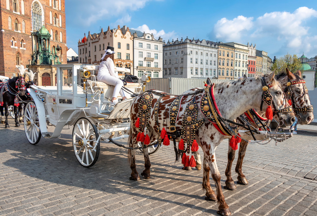Horse Carriages, Krakow, Poland jigsaw puzzle in Animaux puzzles on TheJigsawPuzzles.com