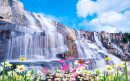 Waterfall with Flowers