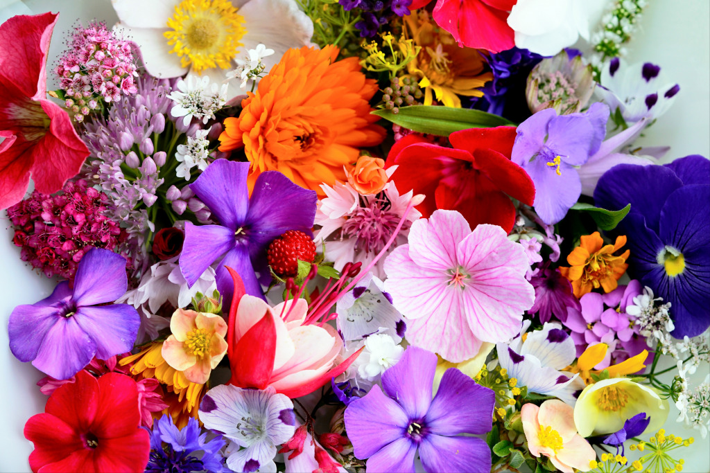 Variety of Garden Flowers jigsaw puzzle in Flowers puzzles on TheJigsawPuzzles.com