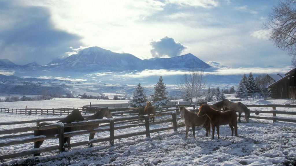 horses and snow jigsaw puzzle in BARBARA J HITE puzzles on TheJigsawPuzzles.com