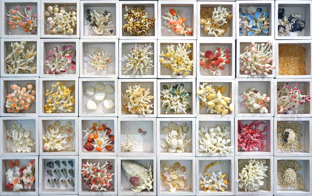 World Seashell Museum em Jeju, Coreia jigsaw puzzle in Zoom puzzles on TheJigsawPuzzles.com
