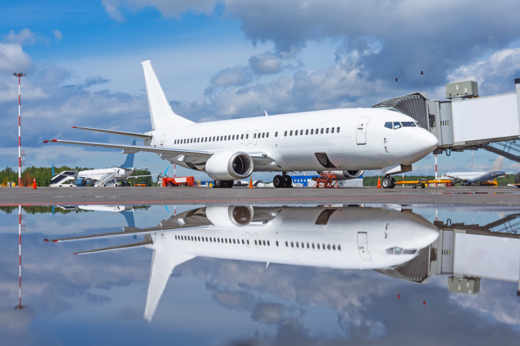 Passenger Aircraft at the Terminal jigsaw puzzle in Aviation puzzles on TheJigsawPuzzles.com