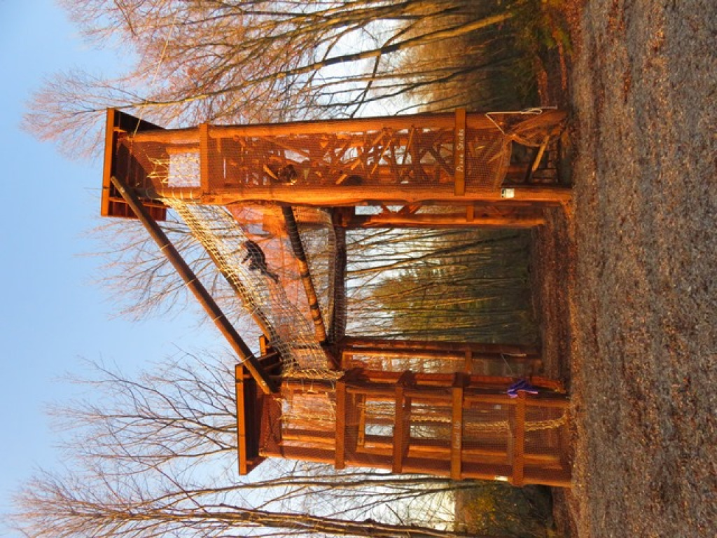 Challenge Course photo 2 jigsaw puzzle in Michelle Cummings puzzles on TheJigsawPuzzles.com