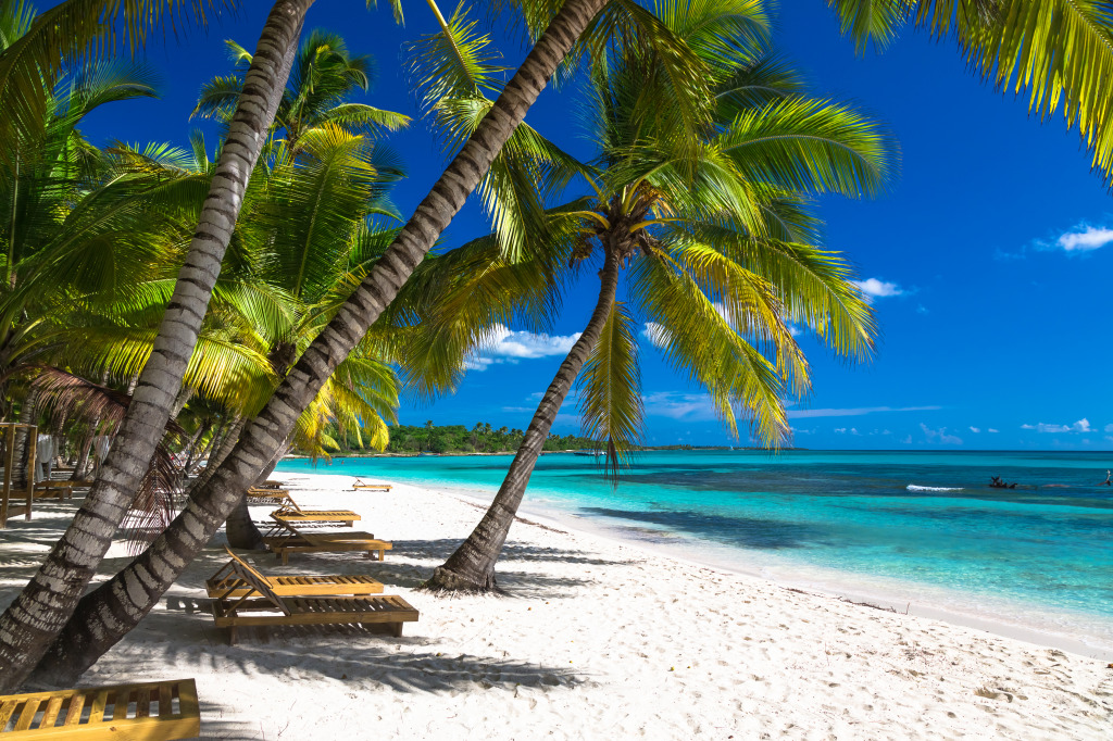 Saona Island, Dominican Republic jigsaw puzzle in Great Sightings puzzles on TheJigsawPuzzles.com