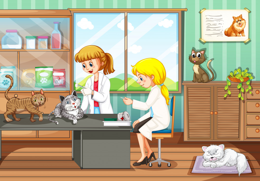 In the Vet Clinic jigsaw puzzle in Kids Puzzles puzzles on TheJigsawPuzzles.com