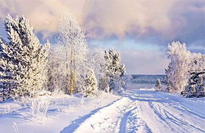 Winter Countryside Landscape jigsaw puzzle in Great Sightings puzzles ...