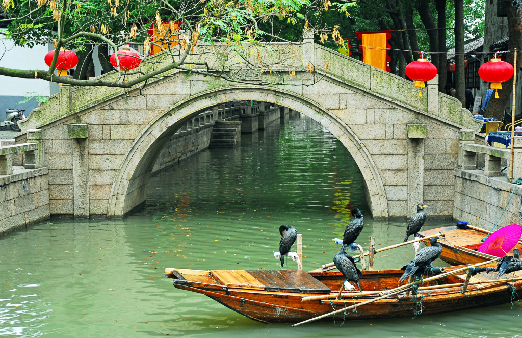 Water Village Tongli, Shanghai, China jigsaw puzzle in Bridges puzzles on TheJigsawPuzzles.com