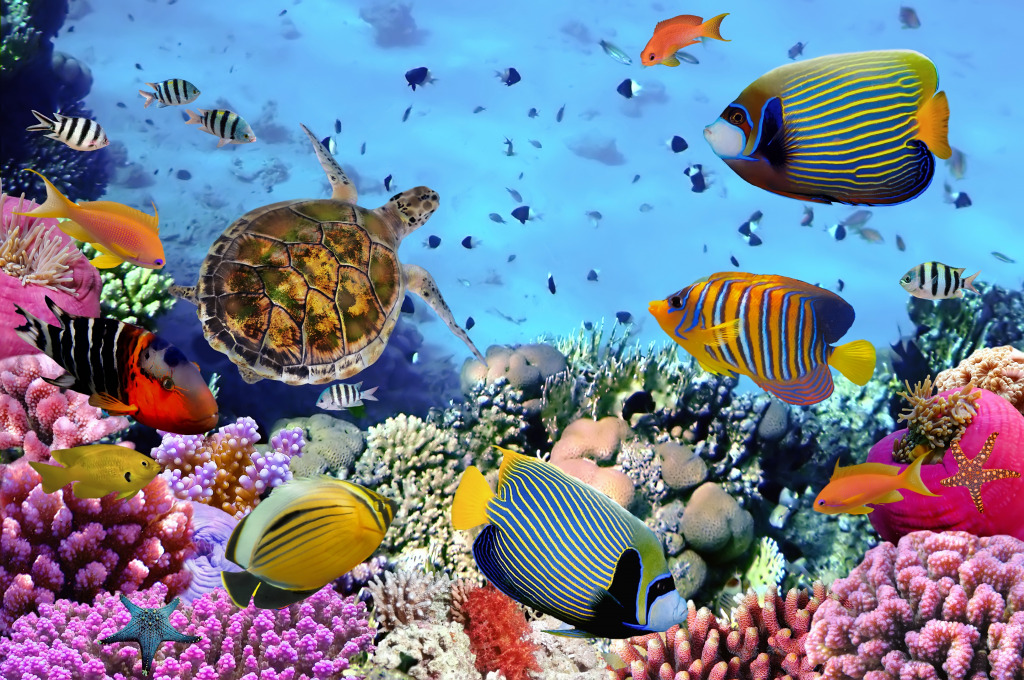 Коралловый риф с рыбками и морской черепахой jigsaw puzzle in Подводный мир puzzles on TheJigsawPuzzles.com