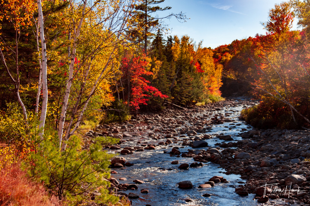 White-Mountains-New-Hampshire jigsaw puzzle in Elizabeth Mallet puzzles on TheJigsawPuzzles.com