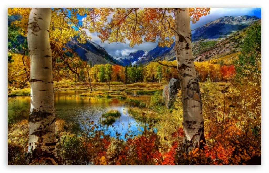 mountain_autumn-t2 jigsaw puzzle in Elizabeth Mallet puzzles on TheJigsawPuzzles.com