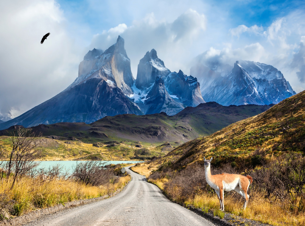 Torres Del Paine National Park, Chile jigsaw puzzle in Great Sightings puzzles on TheJigsawPuzzles.com