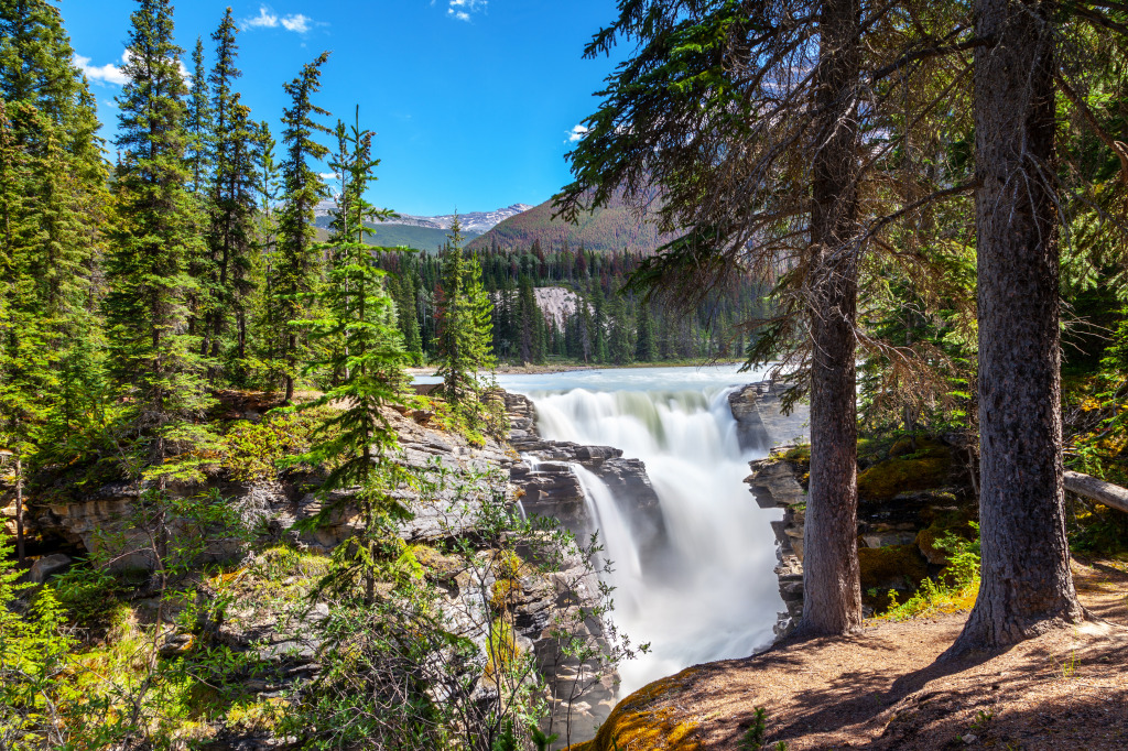 Athabasca Falls, Jasper-Nationalpark jigsaw puzzle in Wasserfälle puzzles on TheJigsawPuzzles.com