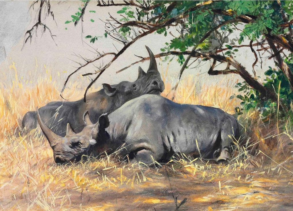 Two Rhinoceros Resting jigsaw puzzle in Piece of Art puzzles on TheJigsawPuzzles.com