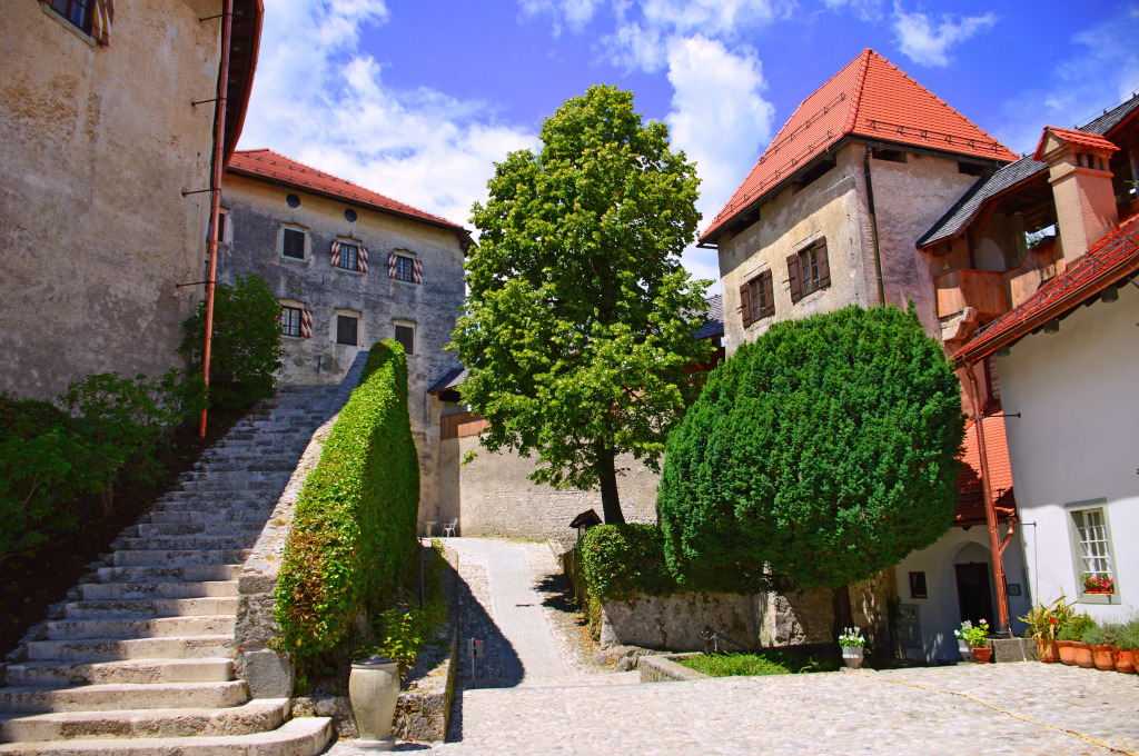 Cour du château de Bled, Slovenie jigsaw puzzle in Châteaux puzzles on TheJigsawPuzzles.com