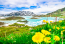 Glacier Lake in Norway