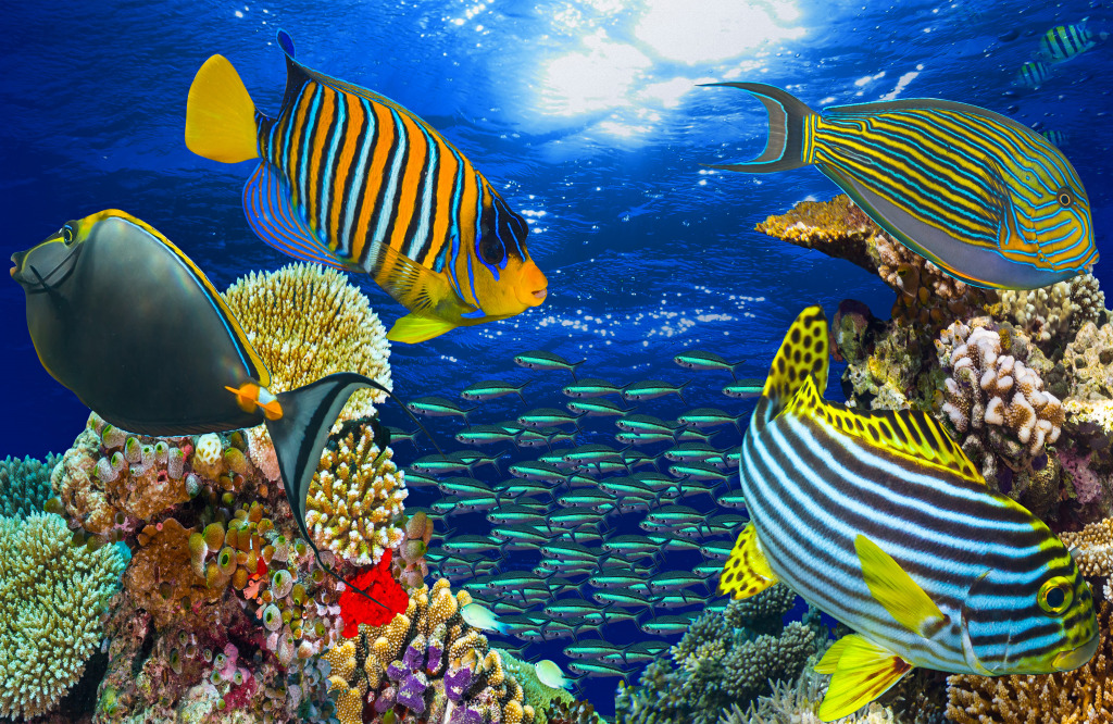 Coral Reef Landscape jigsaw puzzle in Under the Sea puzzles on TheJigsawPuzzles.com