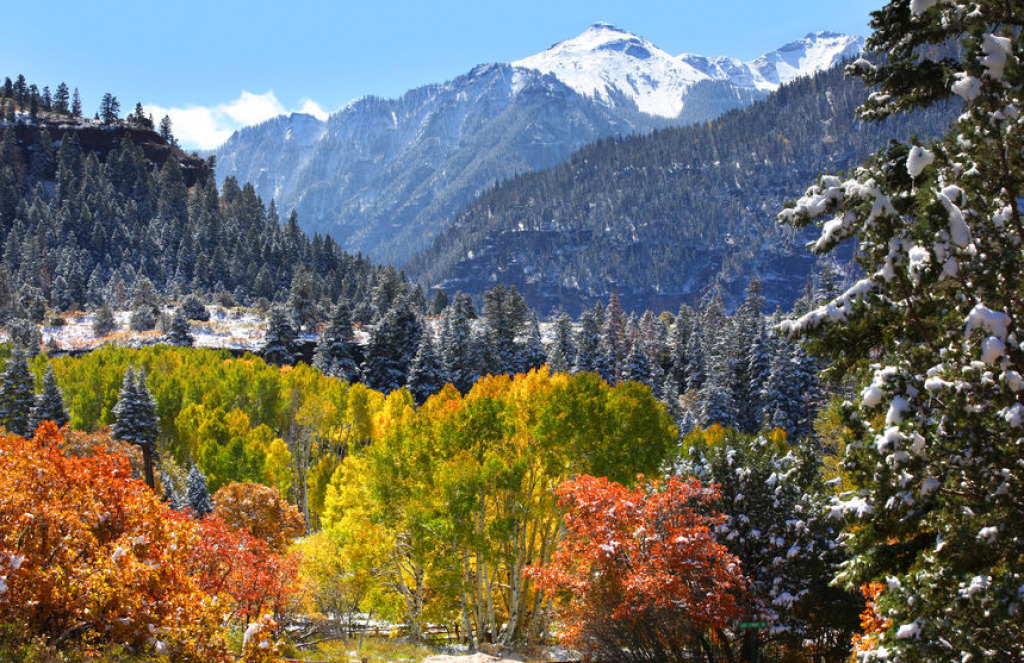 autumn-in-colorado jigsaw puzzle in Elizabeth Mallet puzzles on TheJigsawPuzzles.com