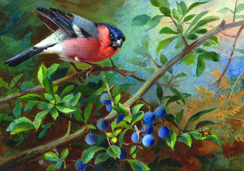 Bullfinch and Blueberries jigsaw puzzle in Piece of Art puzzles on TheJigsawPuzzles.com
