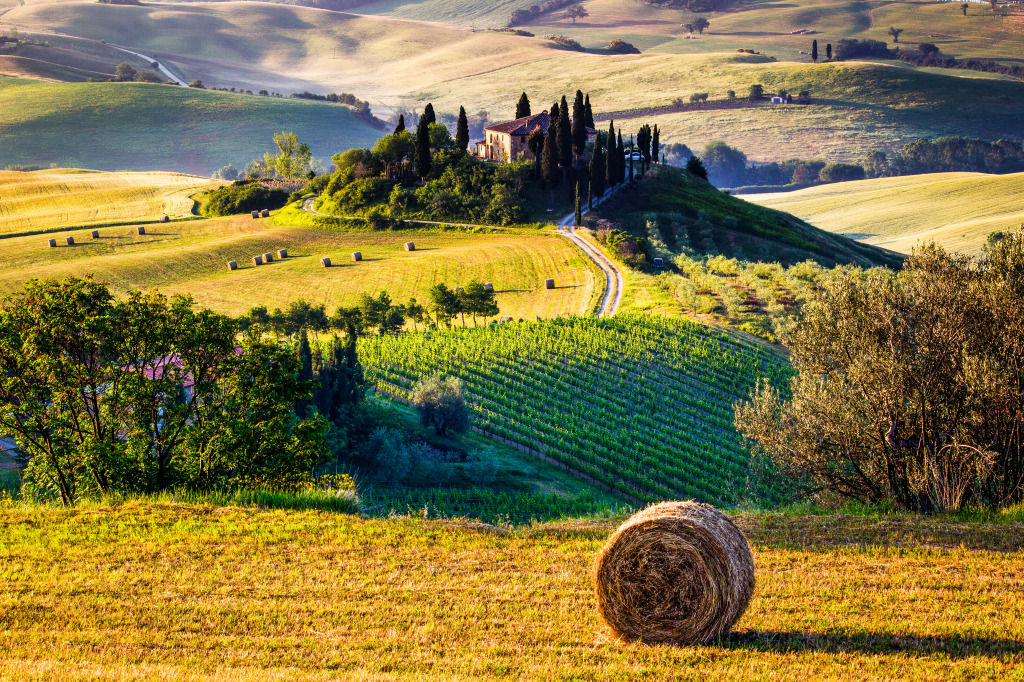 Toscane, campagne Italienne jigsaw puzzle in Magnifiques vues puzzles on TheJigsawPuzzles.com