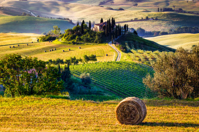 Tuscany, Italian Countryside jigsaw puzzle in Great Sightings puzzles ...