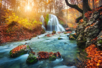 Waterfall in the Autumn Forest jigsaw puzzle in Waterfalls puzzles on ...