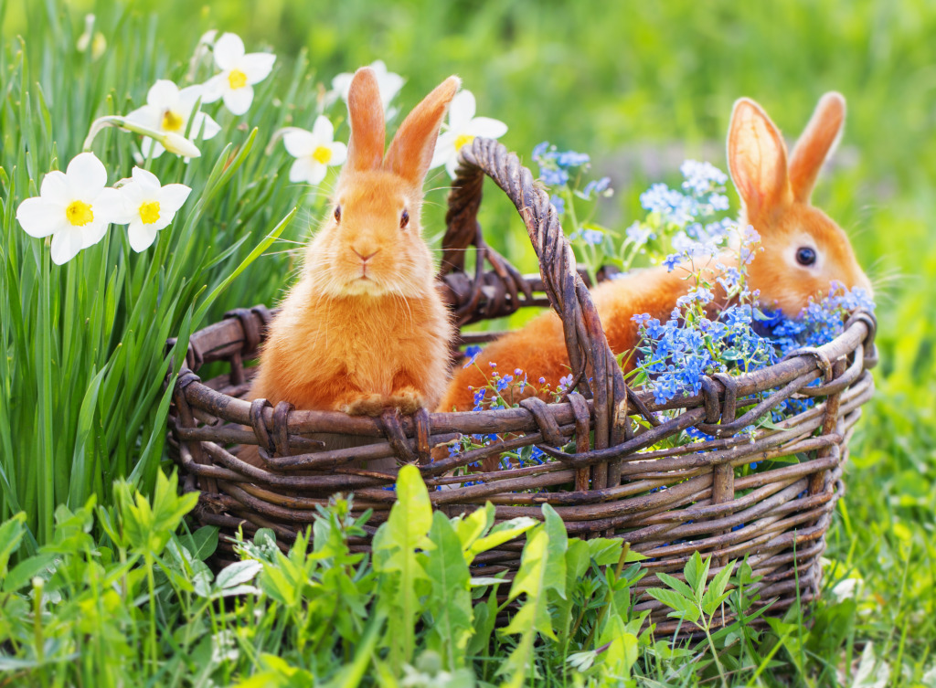 Red Rabbits jigsaw puzzle in Animals puzzles on TheJigsawPuzzles.com