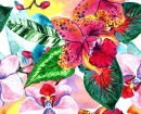Tropical Flower Watercolor