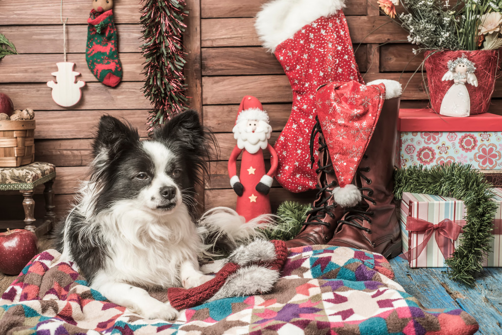 Little Papillon Dog jigsaw puzzle in Christmas & New Year puzzles on TheJigsawPuzzles.com