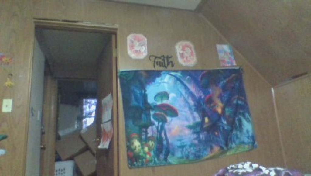 my room jigsaw puzzle in Jasmine Ann Salyers puzzles on TheJigsawPuzzles.com